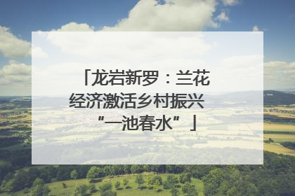 龙岩新罗：兰花经济激活乡村振兴“一池春水”