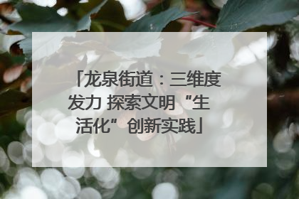龙泉街道：三维度发力 探索文明“生活化”创新实践