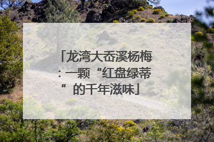 龙湾大岙溪杨梅：一颗“红盘绿蒂”的千年滋味