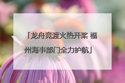 龙舟竞渡火热开桨 福州海事部门全力护航