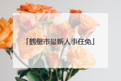 鹤壁市最新人事任免