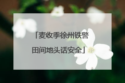 麦收季徐州铁警田间地头话安全