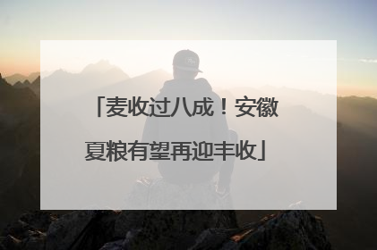 麦收过八成！安徽夏粮有望再迎丰收
