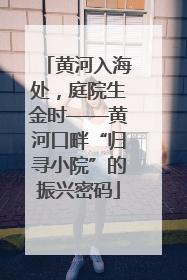黄河入海处，庭院生金时——黄河口畔“归寻小院”的振兴密码