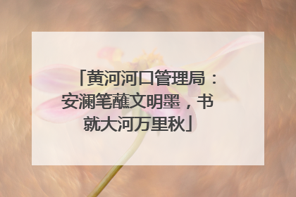 黄河河口管理局：安澜笔蘸文明墨，书就大河万里秋