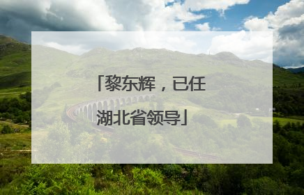 黎东辉，已任湖北省领导