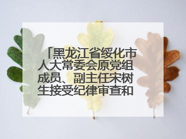 黑龙江省绥化市人大常委会原党组成员、副主任宋树生接受纪律审查和监察调查