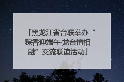 黑龙江省台联举办“粽香迎端午·龙台情相融”交流联谊活动