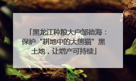 黑龙江种粮大户邹德海：保护“耕地中的大熊猫”黑土地，让增产可持续
