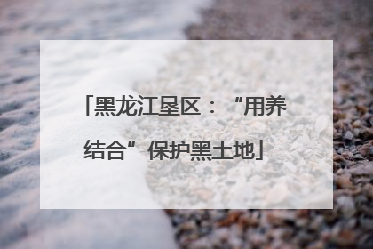 黑龙江垦区：“用养结合”保护黑土地