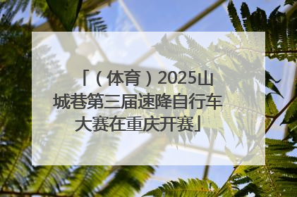 （体育）2025山城巷第三届速降自行车大赛在重庆开赛