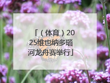 （体育）2025维也纳多瑙河龙舟赛举行