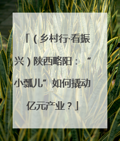 （乡村行·看振兴）陕西略阳：“小瓢儿”如何撬动亿元产业？
