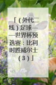 （外代二线）足球——世界杯预选赛：比利时胜威尔士（3）