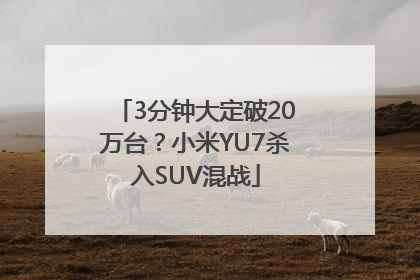 3分钟大定破20万台？小米YU7杀入SUV混战