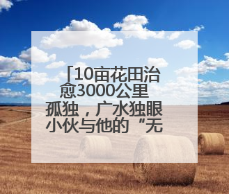 10亩花田治愈3000公里孤独，广水独眼小伙与他的“无尽夏”