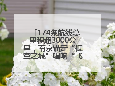174条航线总里程超3000公里，南京锚定“低空之城”唱响“飞得更高”