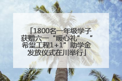 1800名一年级学子获赠六一“暖心礼” “希望工程1+1”助学金发放仪式在川举行