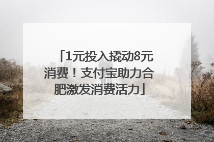 1元投入撬动8元消费！支付宝助力合肥激发消费活力