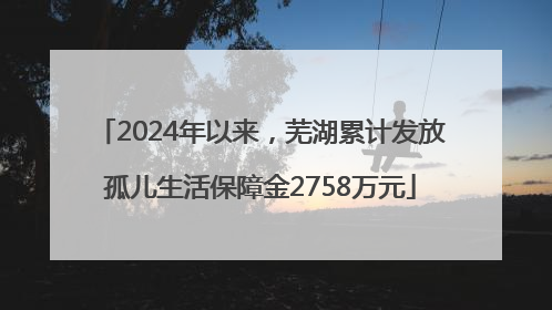 2024年以来，芜湖累计发放孤儿生活保障金2758万元