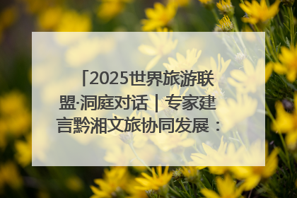 2025世界旅游联盟·洞庭对话｜专家建言黔湘文旅协同发展：聚焦产品稀缺性 深化区域经验共享