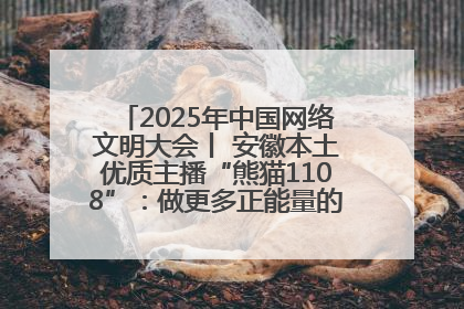 2025年中国网络文明大会丨 安徽本土优质主播“熊猫1108”：做更多正能量的事情 带给大家快乐
