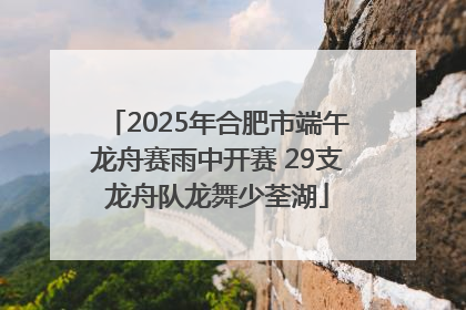 2025年合肥市端午龙舟赛雨中开赛 29支龙舟队龙舞少荃湖