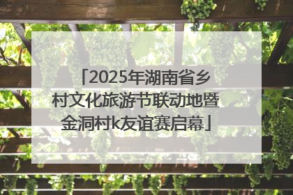 2025年湖南省乡村文化旅游节联动地暨金洞村k友谊赛启幕