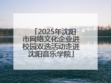 2025年沈阳市网络文化企业进校园双选活动走进沈阳音乐学院