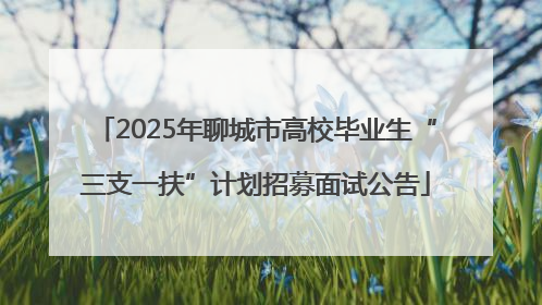 2025年聊城市高校毕业生“三支一扶”计划招募面试公告