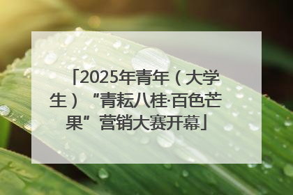 2025年青年（大学生）“青耘八桂·百色芒果”营销大赛开幕