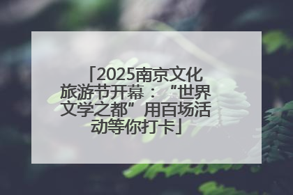 2025南京文化旅游节开幕：“世界文学之都”用百场活动等你打卡