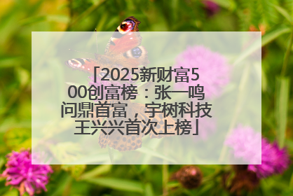 2025新财富500创富榜：张一鸣问鼎首富，宇树科技王兴兴首次上榜