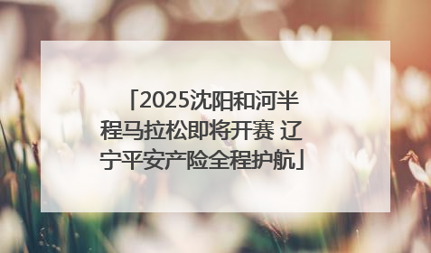 2025沈阳和河半程马拉松即将开赛 辽宁平安产险全程护航