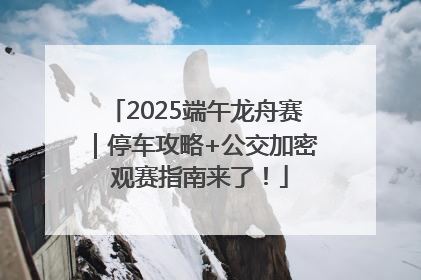 2025端午龙舟赛｜停车攻略+公交加密 观赛指南来了！