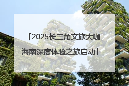2025长三角文旅大咖海南深度体验之旅启动
