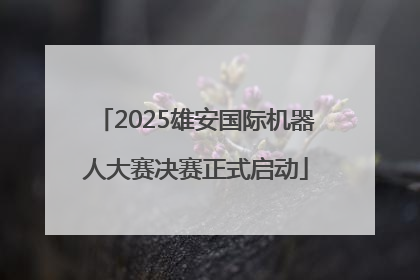 2025雄安国际机器人大赛决赛正式启动