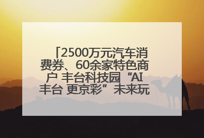 2500万元汽车消费券、60余家特色商户 丰台科技园“AI丰台 更京彩”未来玩家市集活动正式开幕