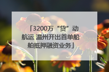3200万“贷”动航运 温州开出首单船舶抵押融资业务