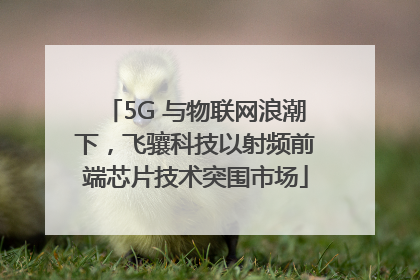 5G 与物联网浪潮下，飞骧科技以射频前端芯片技术突围市场