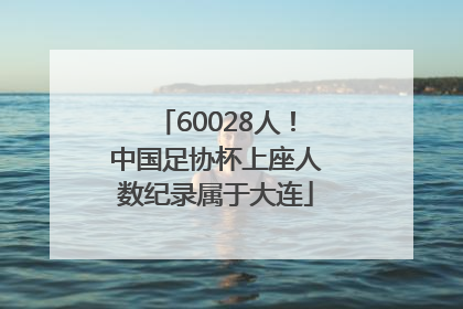 60028人！中国足协杯上座人数纪录属于大连