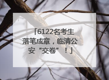 6122名考生落笔成章，临清公安“交卷”！