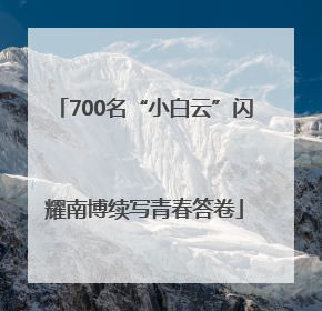 700名“小白云”闪耀南博续写青春答卷