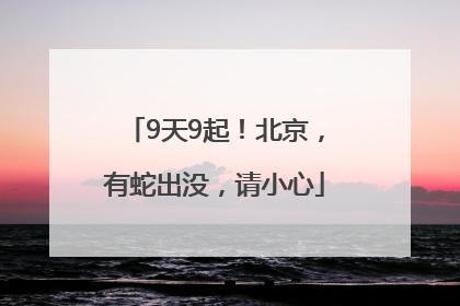 9天9起！北京，有蛇出没，请小心