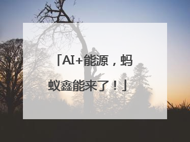 AI+能源，蚂蚁鑫能来了！