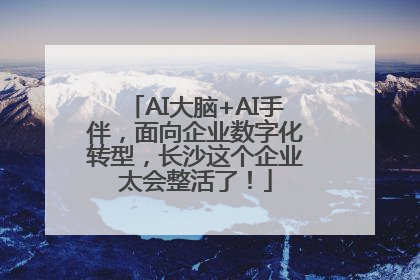 AI大脑+AI手伴，面向企业数字化转型，长沙这个企业太会整活了！
