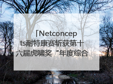 Netconcepts耐特康赛斩获第十六届虎啸奖“年度综合服务商”大奖