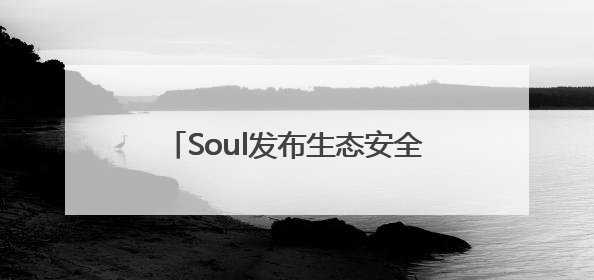 Soul发布生态安全报告：智能风控+社区共治构建社交安全新范式